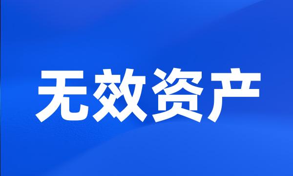 无效资产