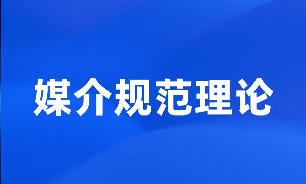 媒介规范理论