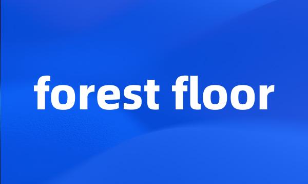 forest floor