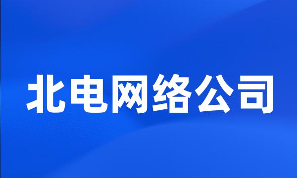 北电网络公司