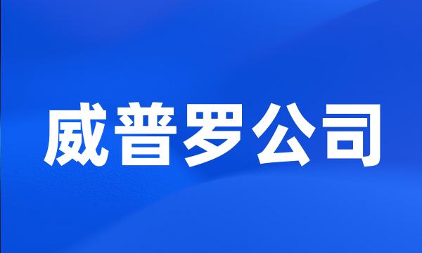 威普罗公司