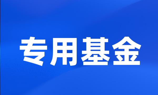 专用基金