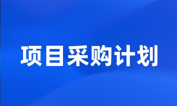 项目采购计划