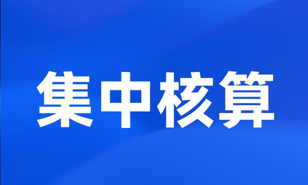 集中核算