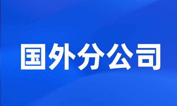 国外分公司