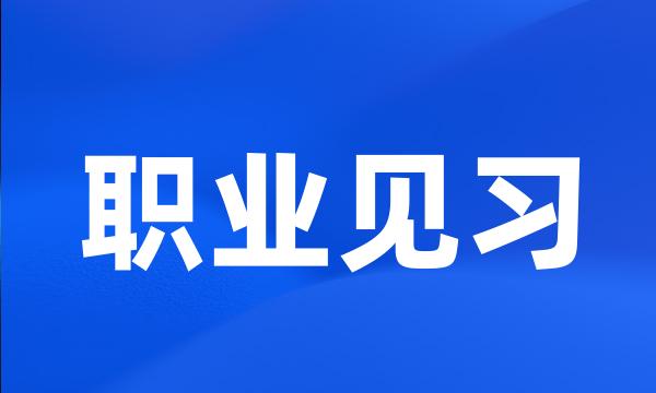 职业见习