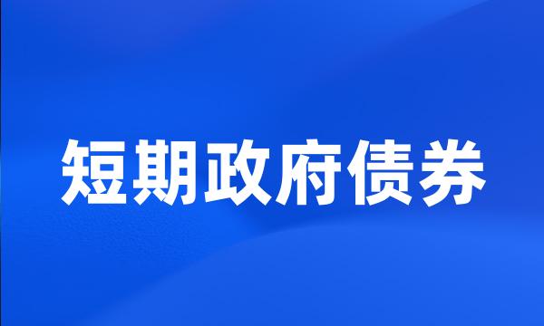 短期政府债券