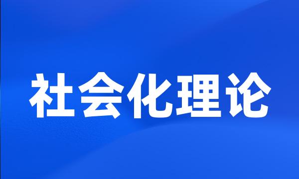 社会化理论