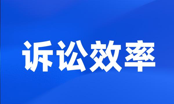 诉讼效率