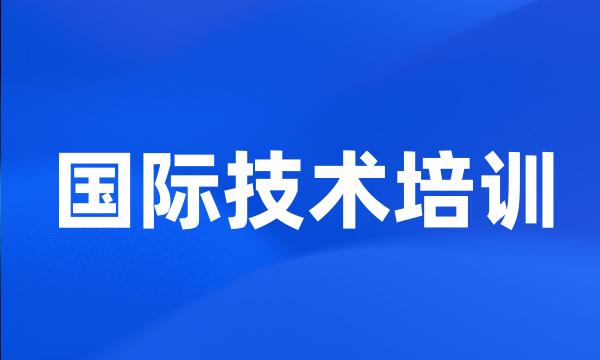 国际技术培训