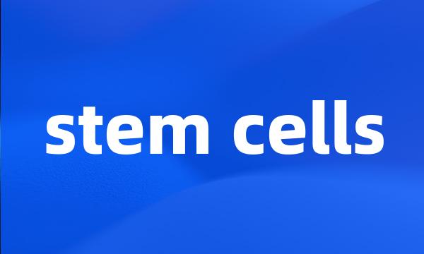 stem cells