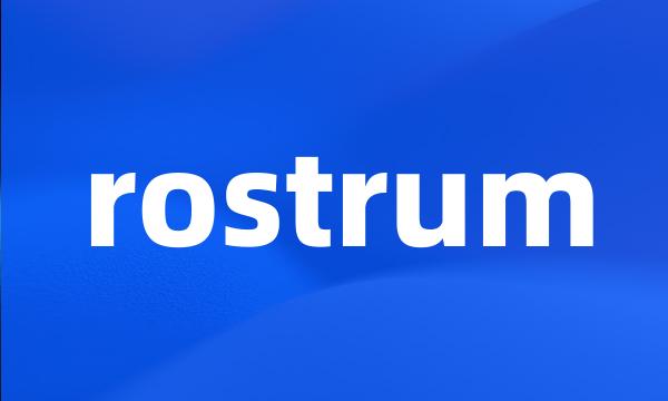 rostrum