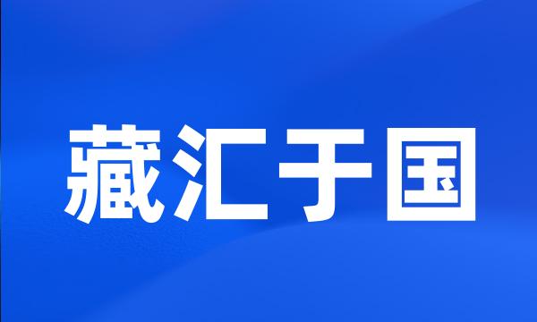 藏汇于国