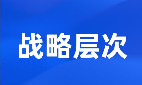 战略层次