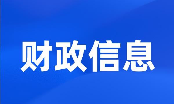 财政信息