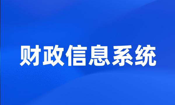 财政信息系统