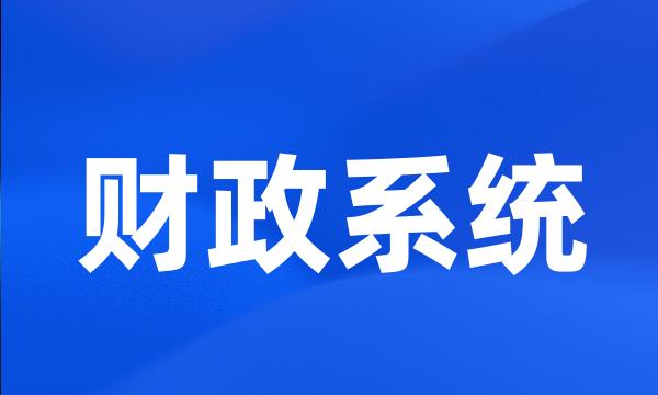 财政系统