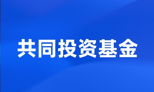 共同投资基金