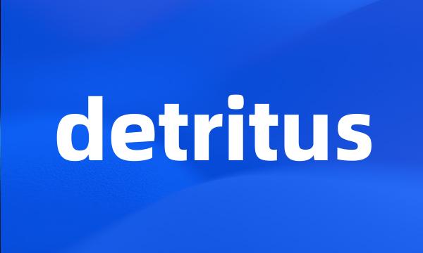 detritus