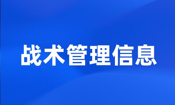 战术管理信息