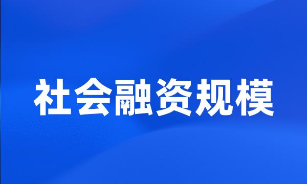 社会融资规模