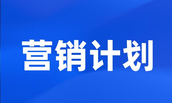 营销计划