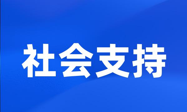 社会支持