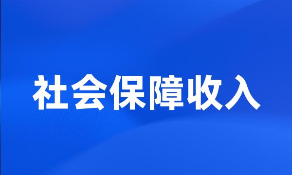 社会保障收入