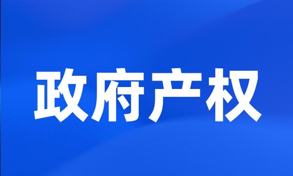 政府产权