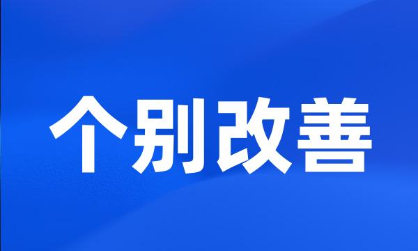 个别改善