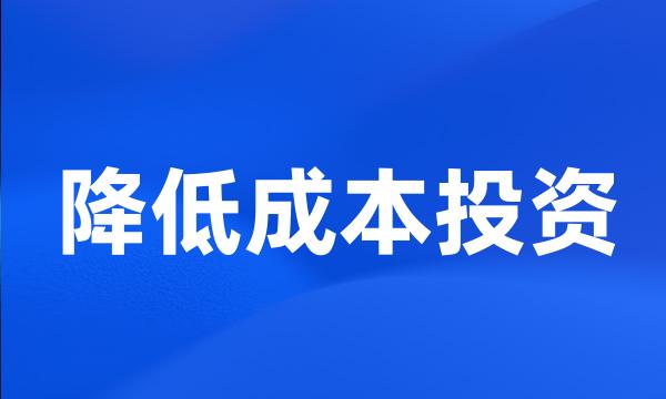 降低成本投资