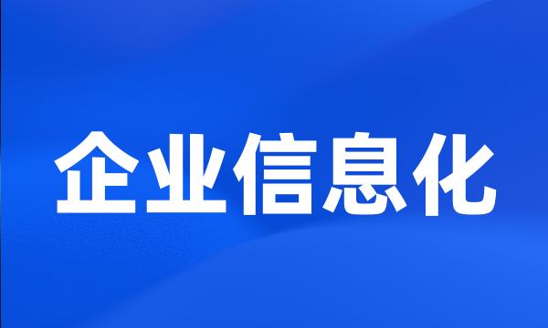 企业信息化