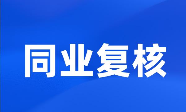 同业复核