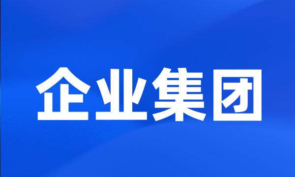 企业集团