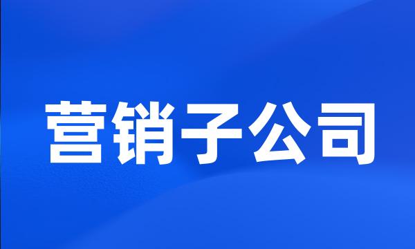 营销子公司