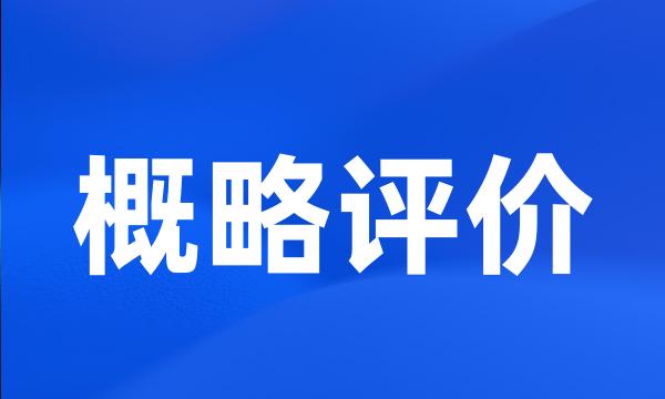 概略评价