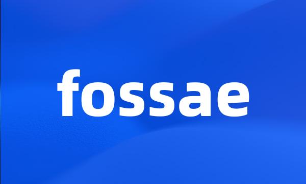 fossae