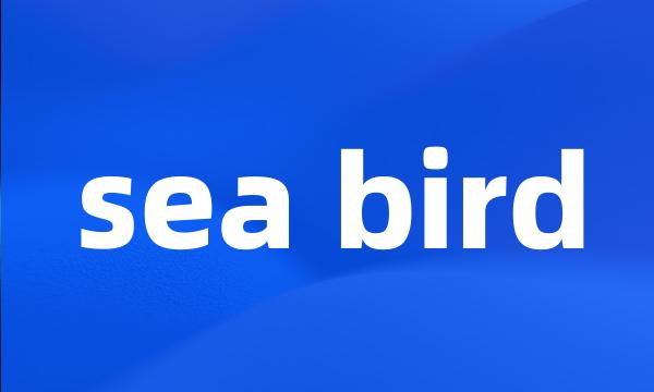 sea bird