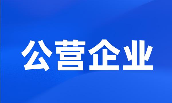 公营企业