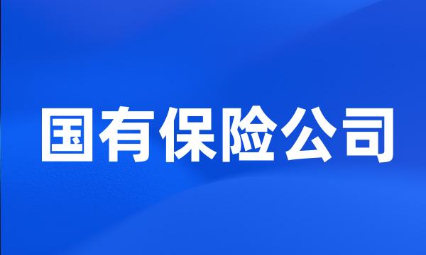 国有保险公司