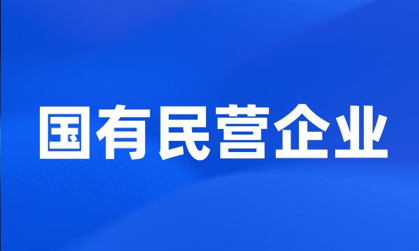 国有民营企业