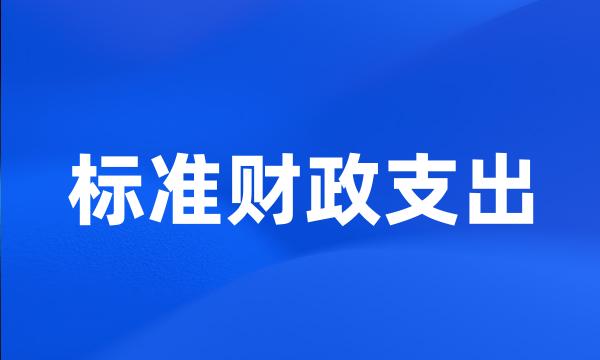 标准财政支出