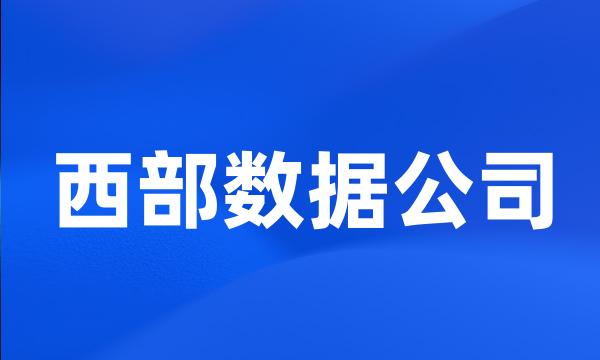 西部数据公司