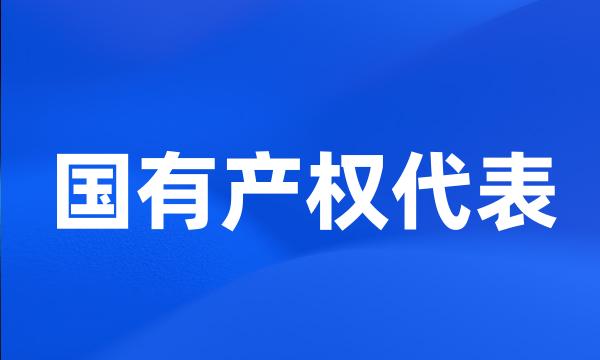 国有产权代表