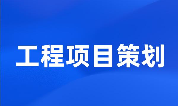 工程项目策划