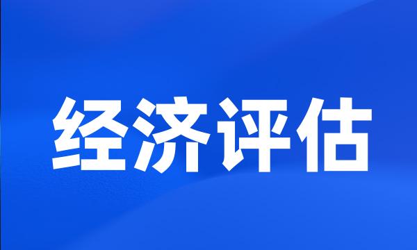 经济评估