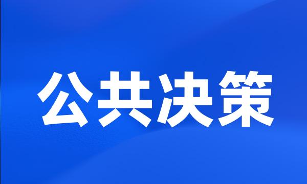 公共决策