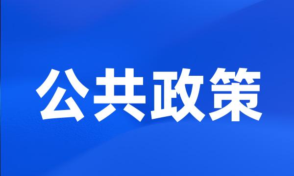 公共政策