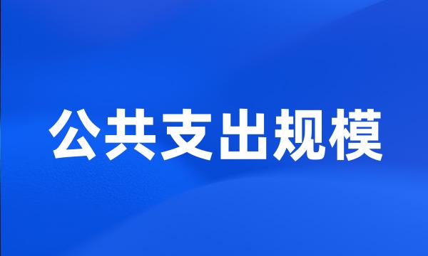 公共支出规模