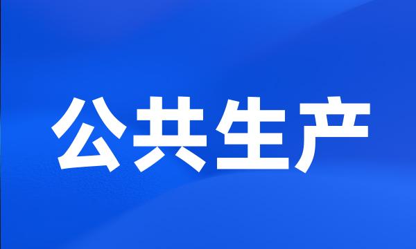 公共生产